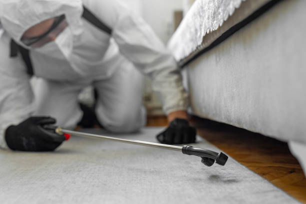 Professional Bed Bug Control technician working in Lake Camelot, WI