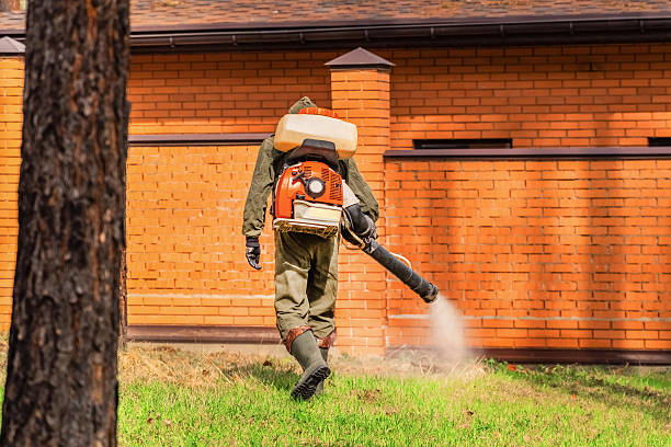 Trusted Cockroach Control service in Lake Camelot, WI - Nex Pest Control
